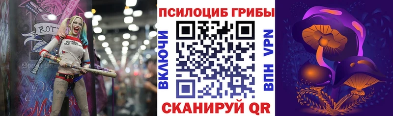 наркошоп Сусуман Галлюциногенные грибы мицелий